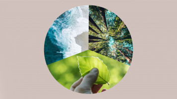 Sustainability